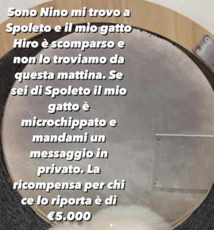 Nino Frassica perde il gatto durante le riprese di Don Matteo