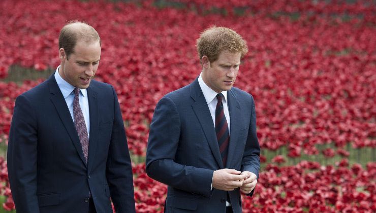 William e Harry, la lite