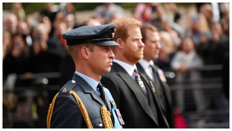 Harry e William motivo litigio