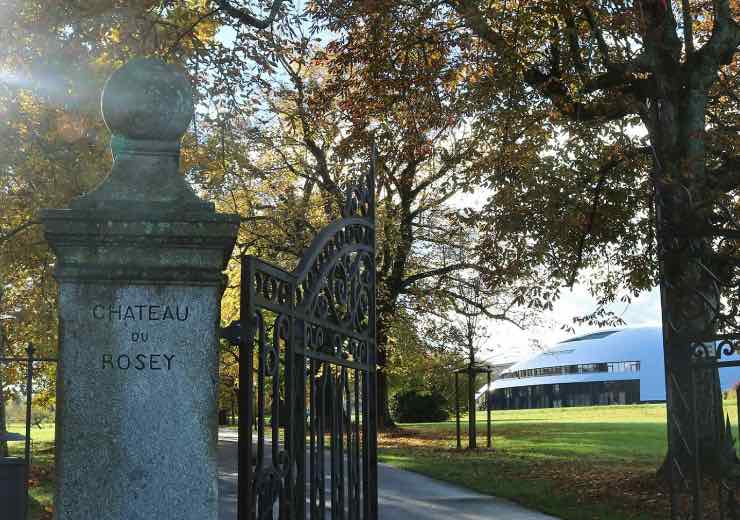 Dove farà lezione Nathan Falco? La scuola per figli di miliardari in Svizzera